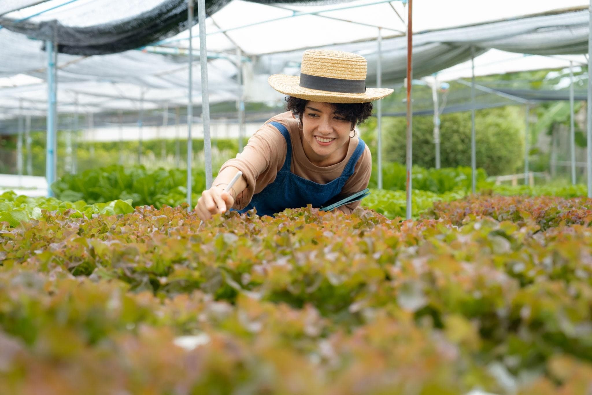 Strategic agriculture solutions with a purpose.